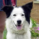 Keeley was adopted in July, 2005